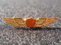 Cessna 152 Wings Pin