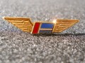 Piper Wings Pin