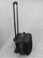 Portable Luggage Cart