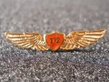 Cessna 172 Wings Pin